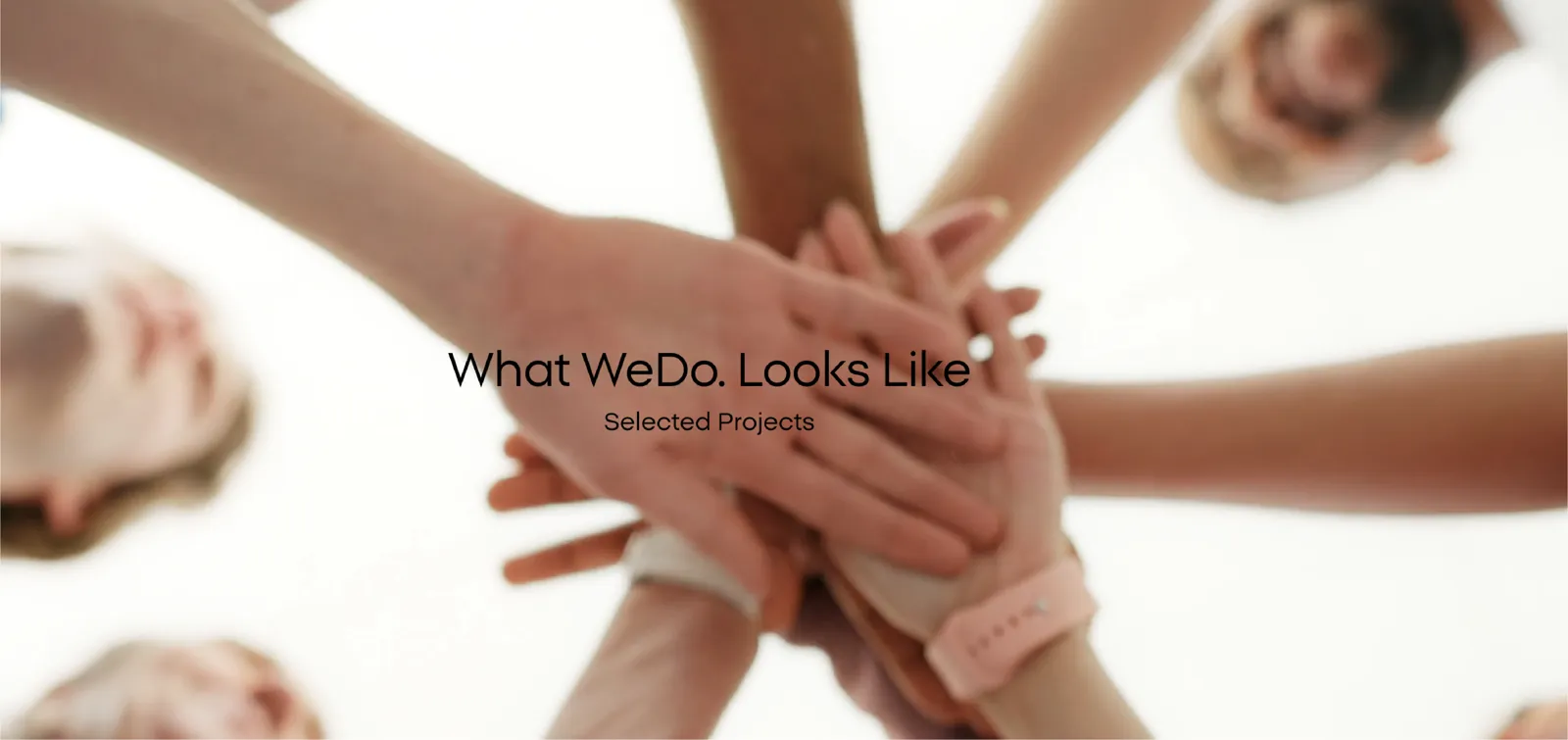 WeDo - מיתוג
